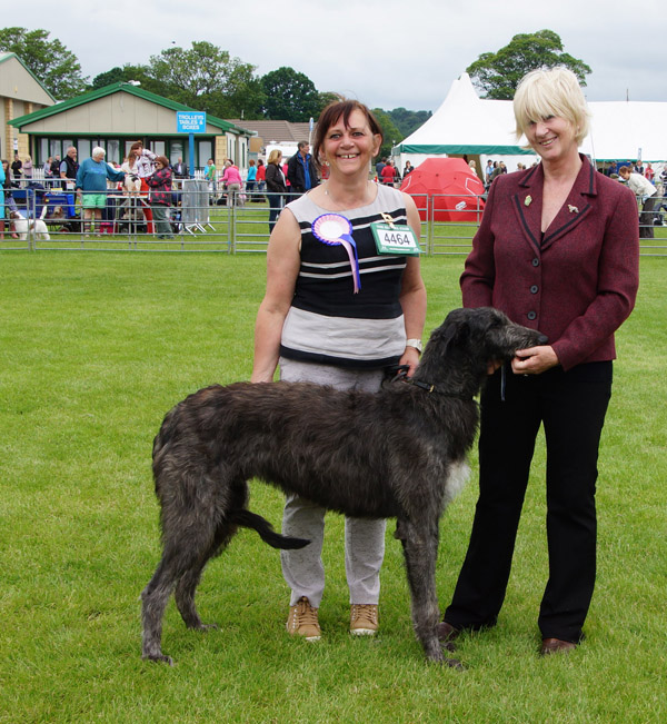 Best Puppy Border Union 2012